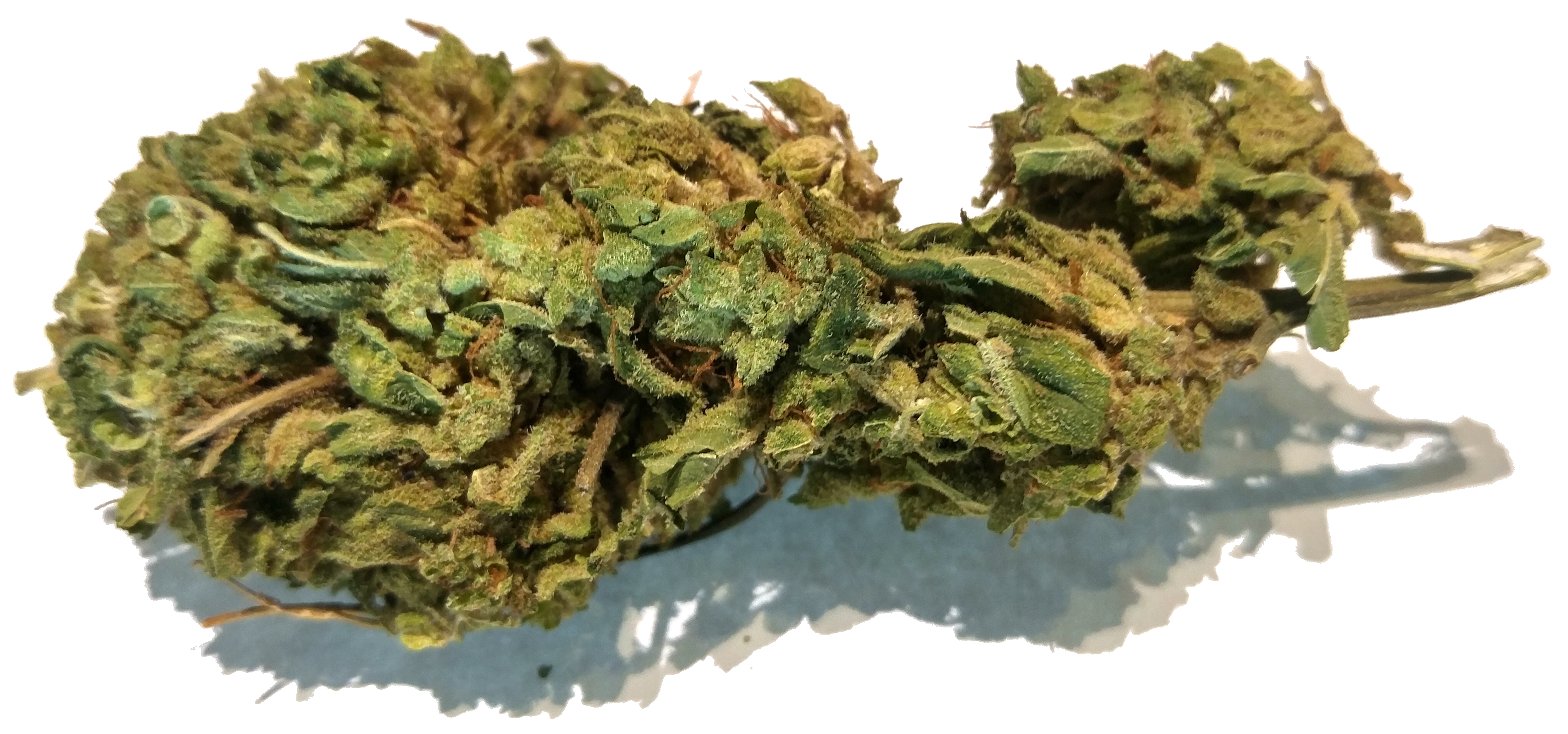 NY Auto Industrial Hemp Flower Buds