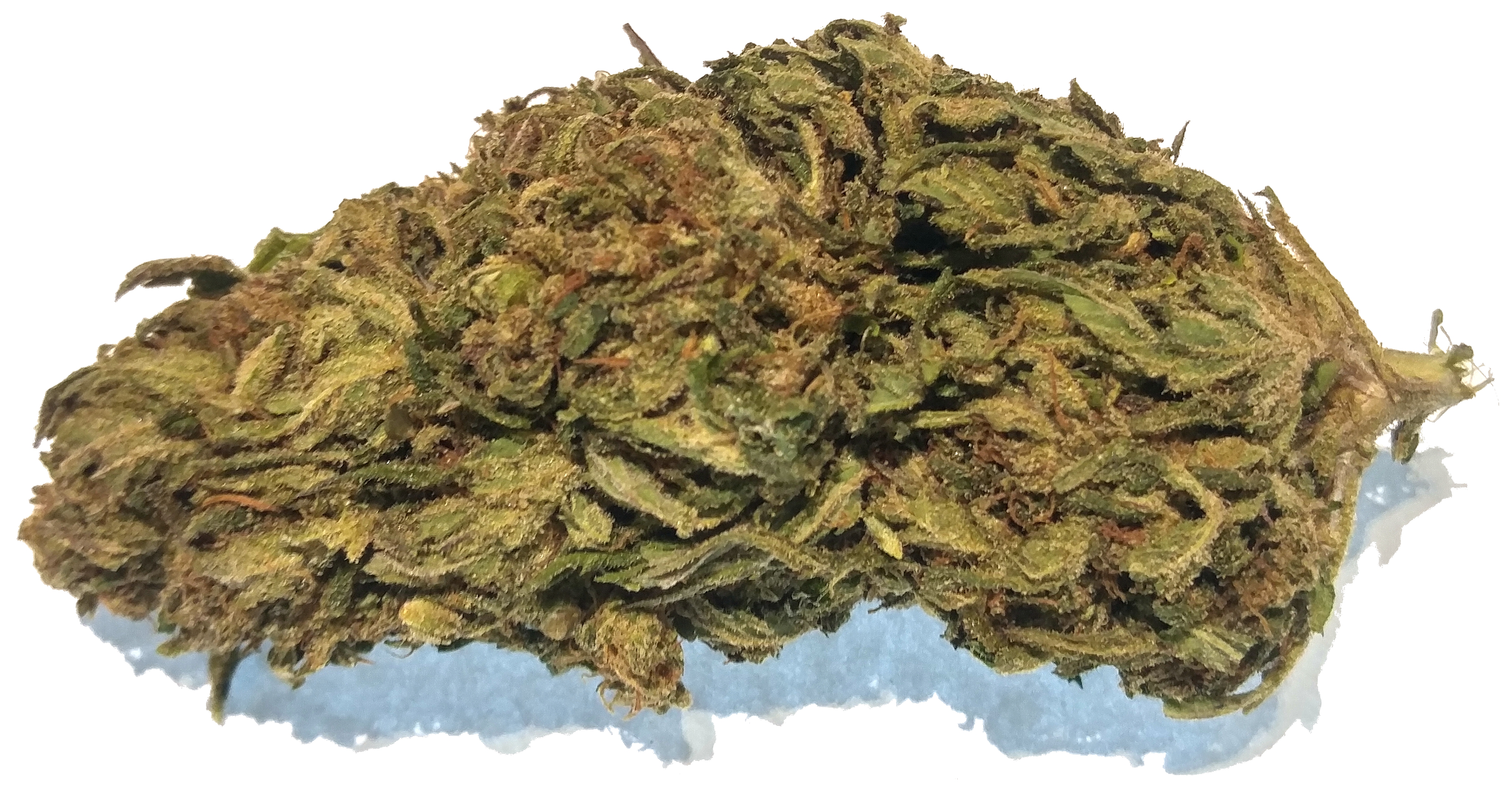 Suver Haze Industrial Hemp Flower Buds