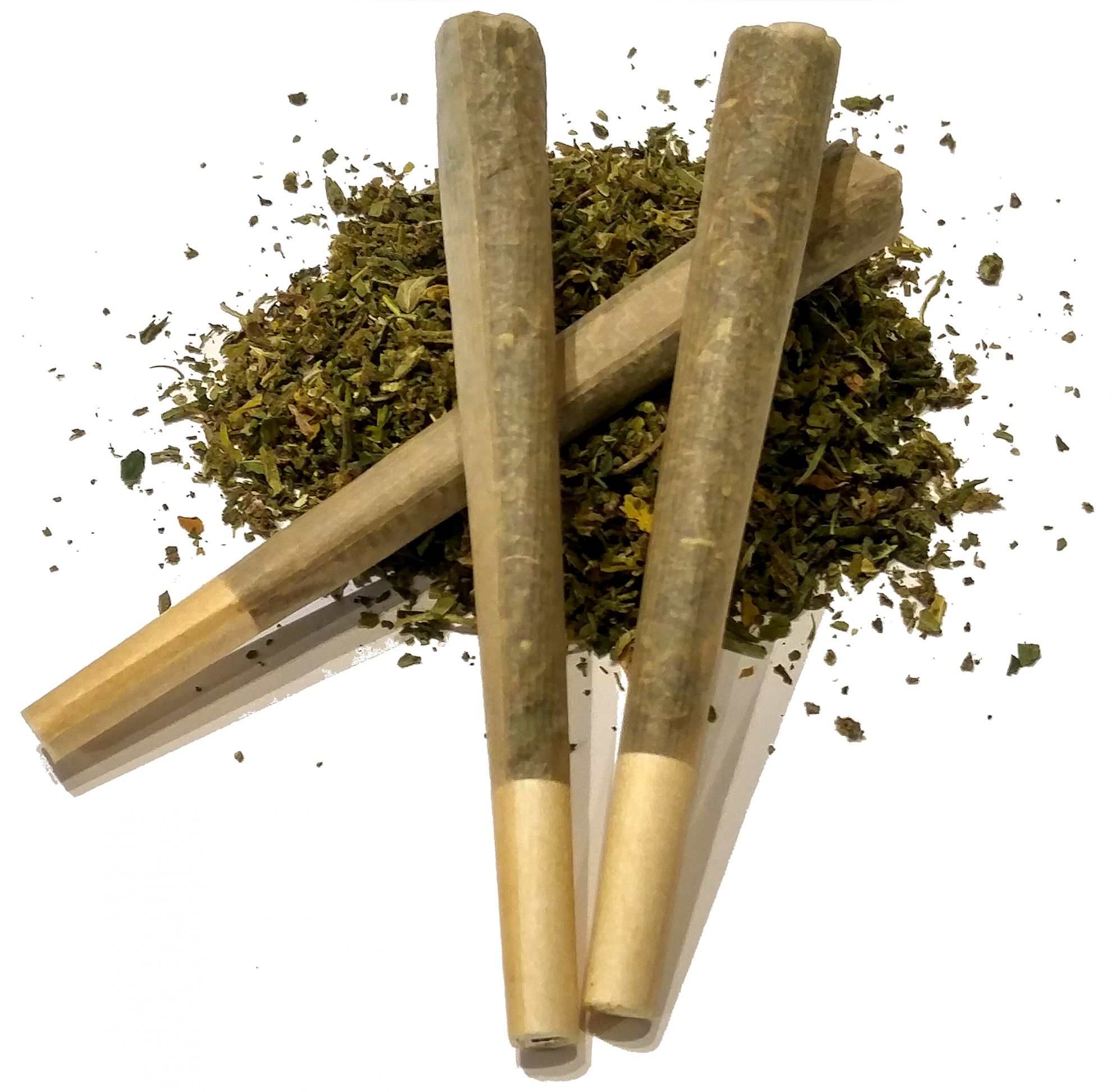 preroll cones.jpg